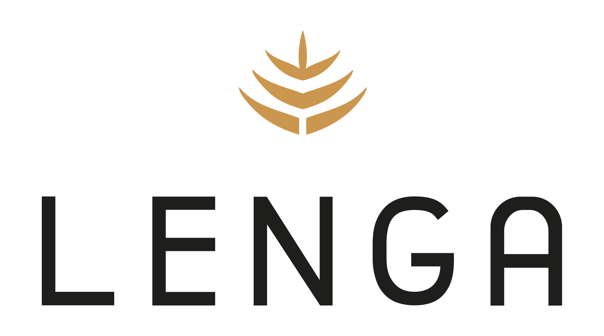 Lenga Capital